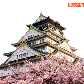 平安行全球境外旅游保險