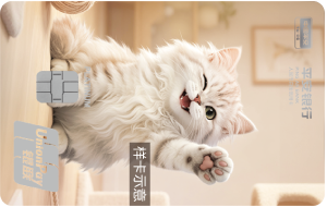 爱宠平安白金卡