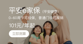 平安e家保2018