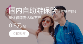 国内自助游保险