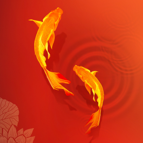 金尊分红26