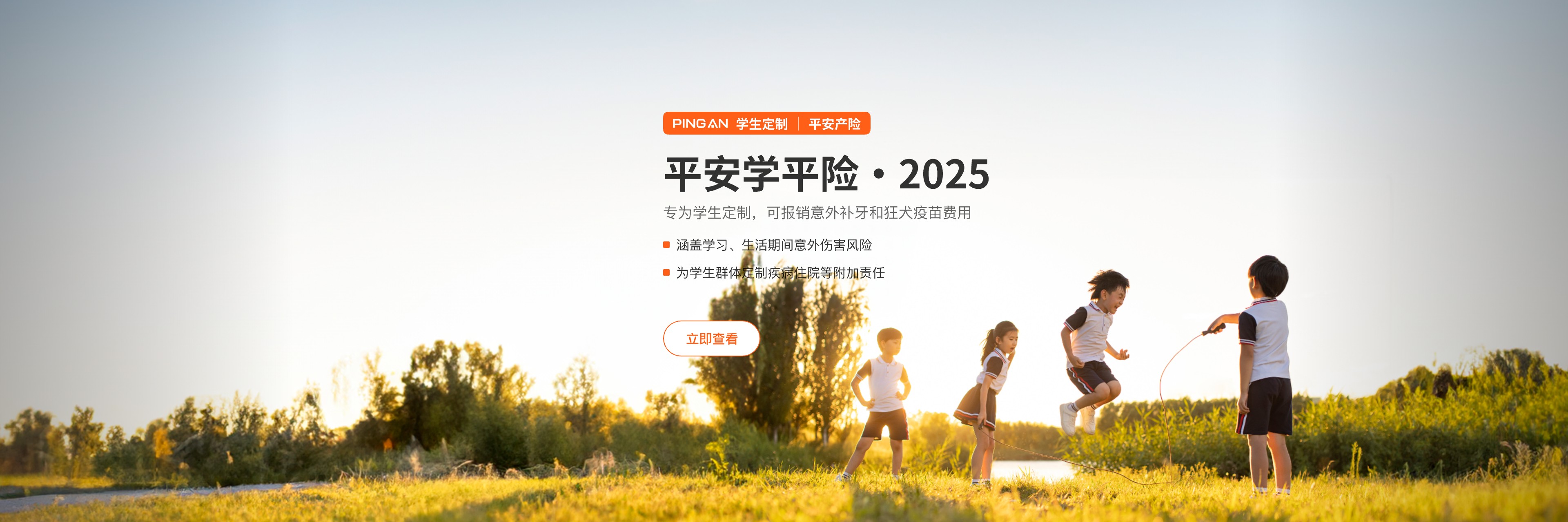 平安学平险banner