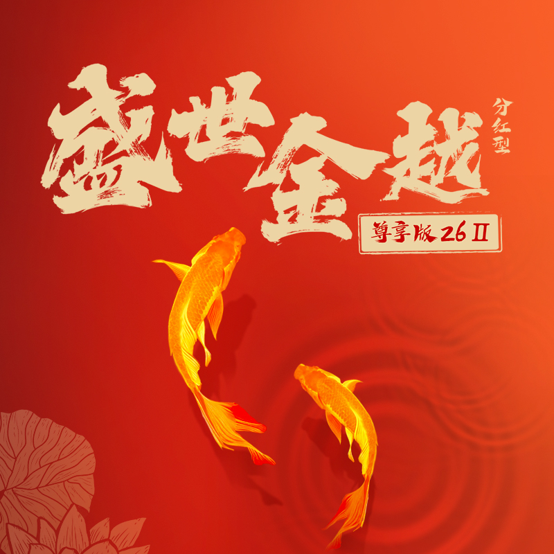 金尊分红26