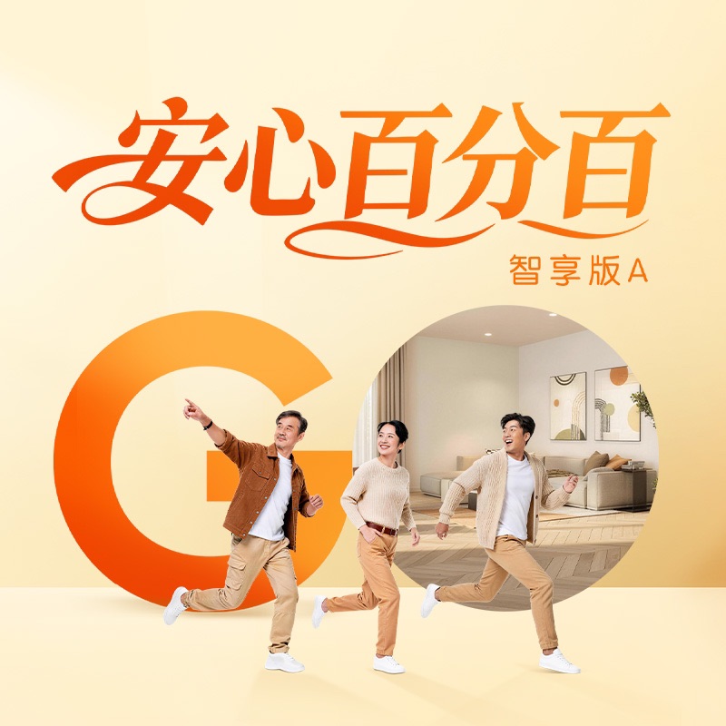 安百智享A